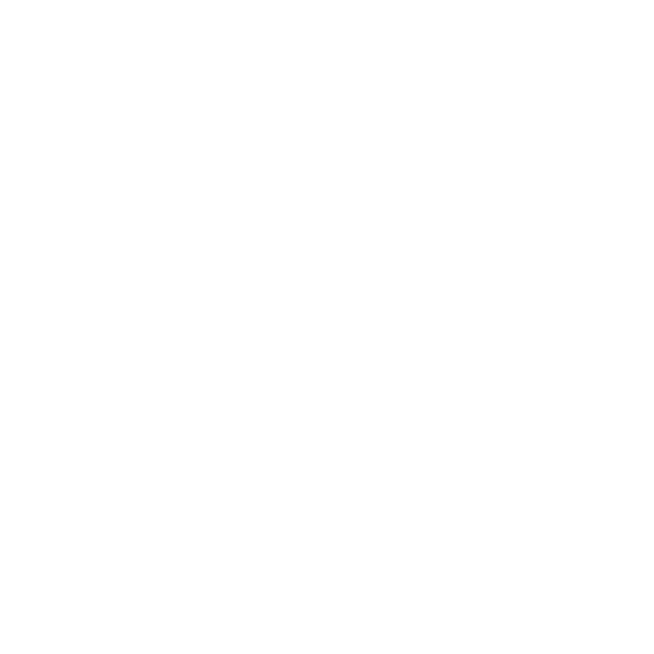 DIRT Media phone